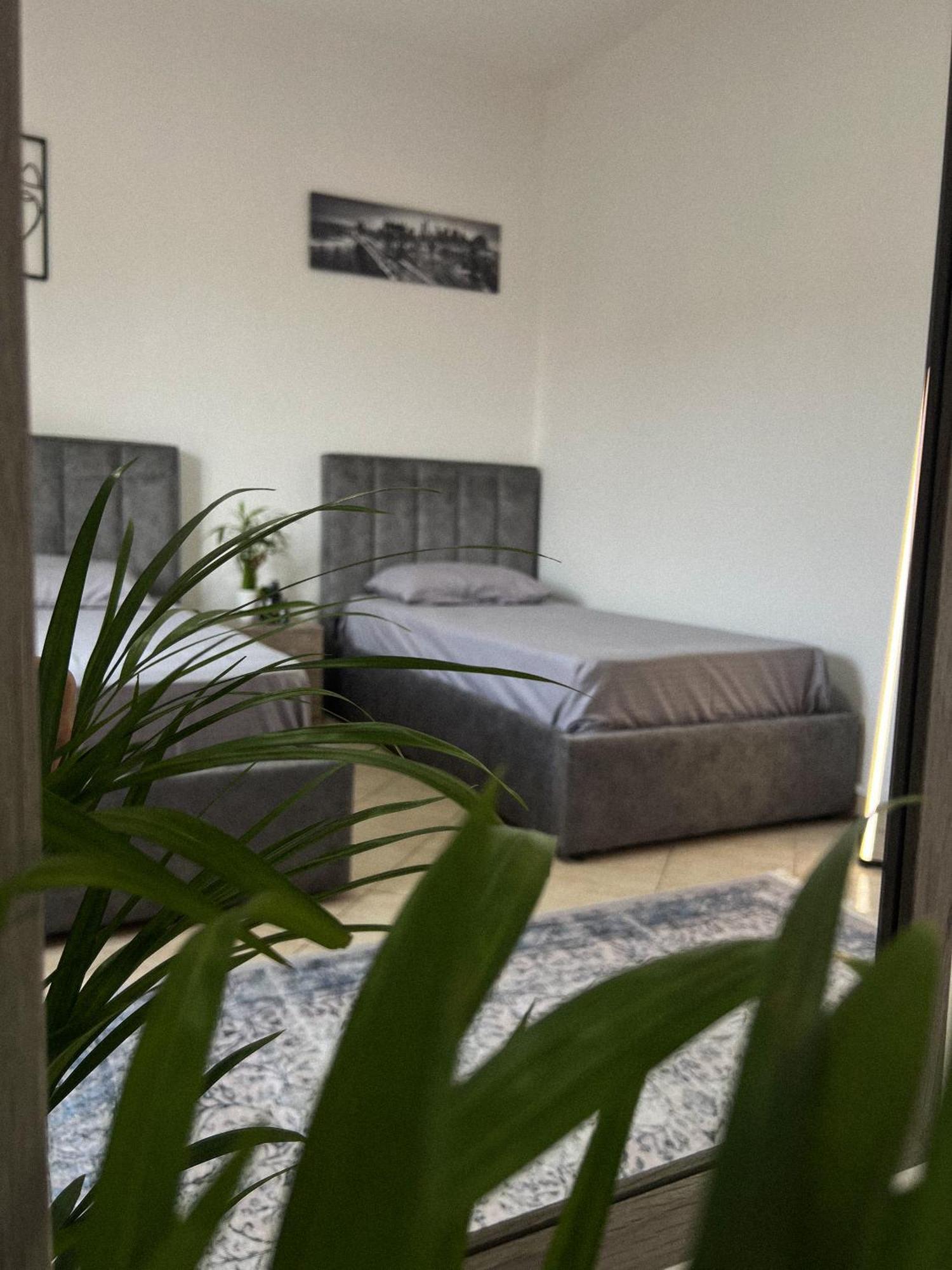Hostel By Fenix Tirana Esterno foto